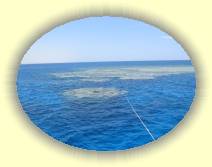 IMG_2007_05_27 15_44_58 * 2272 x 1704 * (517KB)